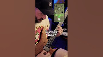 This Delay Pedal is Actually an Overdrive | Fuzz Imp Echo Moon