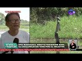 Mga magsasaka, hirap sa pagtatanim dahil sa kakulangan ng tubig para sa irigasyon | SONA Mp3 Song