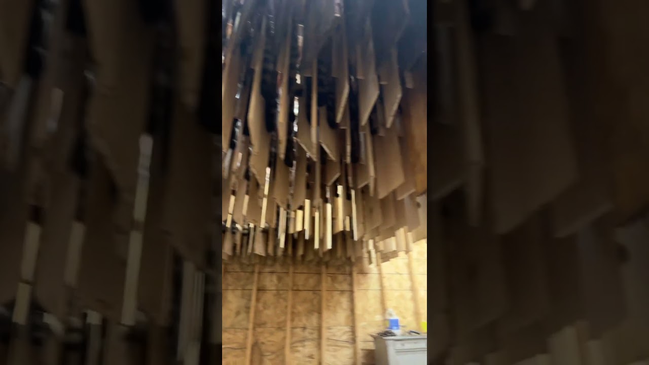 Putting up some fur!