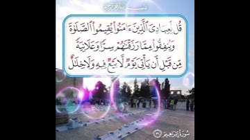 سورة إبراهيم الآية ( 31 )