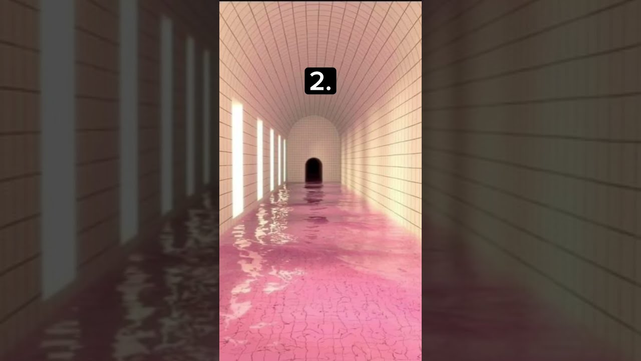 Which Pool Are You Jumping In Shorts Backrooms Dreamcore