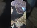 فحص أجزاء من السيجارة تحت المجهر