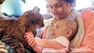 Babys First Time Petting Kitties