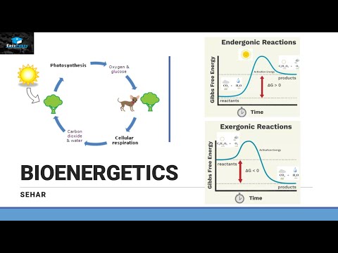 Introduction of Bioenergetics