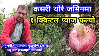 समाजसेवी चुडामणि ज्यू ले प्याज  ? लगाएर ३ मिटर स्क्वायर मा १ क्विन्टल फलाउन सफल कसरी जान्नुहोस् 