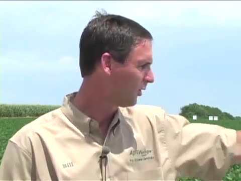 The 10 Critical Steps to Effective Foliar Feeding