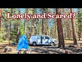 Are you lonely are you scared   van life 