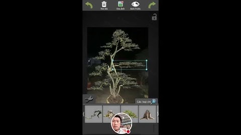 Demo cây cảnh bonsai bằng phần mền điện thoại đơn giản nhấtDemon bonsai bonsai by the simplest phone