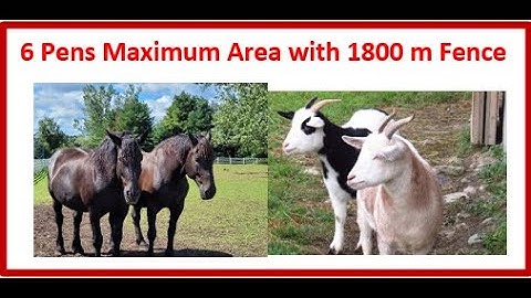 Maximum Area of 6 Identical Pen for 1800 Fence Optimization Quadratic Application MCR3U Farmer