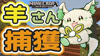 🎮【#minecraft   】羊さんエリア開設！［ #ぶいぱい /#アップランド /コマチガブ］