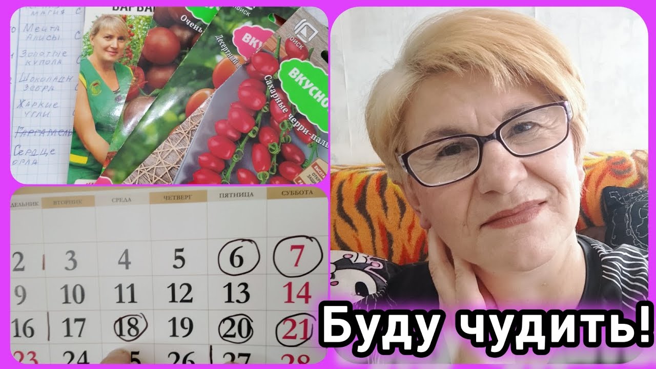 Составила график посева томатов 🍅