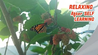 RELAXING AFTER SELF LEARNING | STUDY with ME