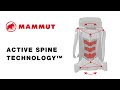 Mammut active spine technology