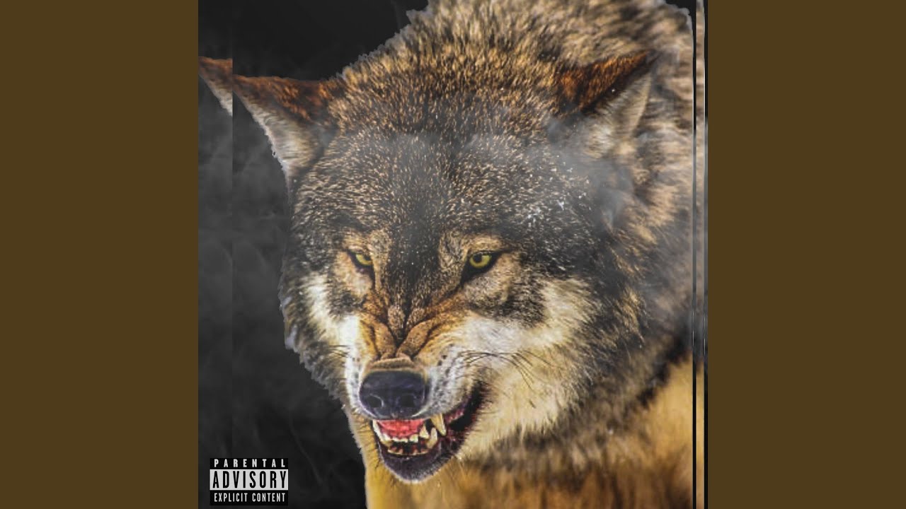 Watch In the Den on YouTube Watch In the Den on YouTube