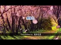 21002   男惚れ   坂本冬美