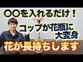 【100円ショップのアレが大活躍】少ない本数でも美しく飾れて、花も長持ちしちゃう簡単アイデア！　【切り花】【園芸】【ガーデニング】