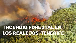 Incendio forestal Los realejos, Tenerife, julio 2022
