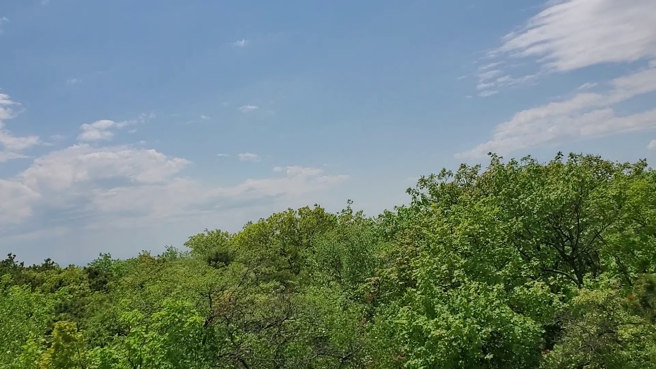 202006 Bear Mountain CT 🐻 YouTube