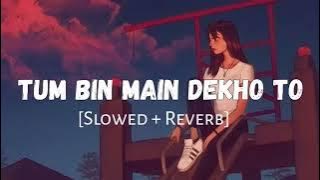TUM BIN MAIN DEKHO TO (RAJIB)#rajibchaudhary576 @Samirvlog1417