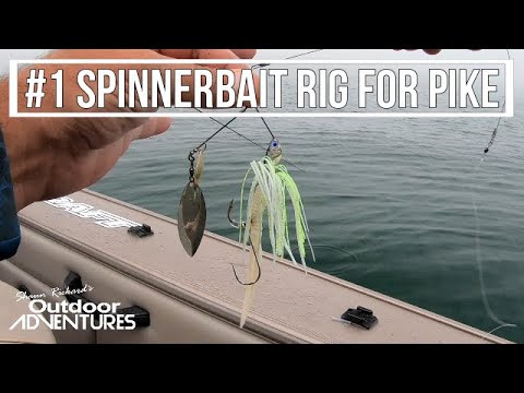 Underwater Spinnerbait Footage! Everything You Need To Know About  Spinnerbait Fishing! — Tactical Bassin' - Bass Fishing Blog