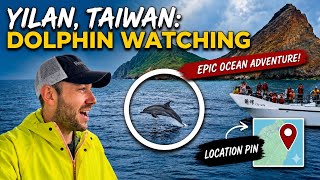 Dolphin Watching in Taiwan 🇹🇼 | Yilan, Guishan Island & the Pacific Coast