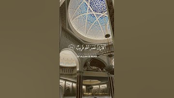 🌿 تلاوة خاشعة بصوت شيخ ناصر القطامي #quran #ناصر_القطامي #تلاوات_خاشعة 🌿
