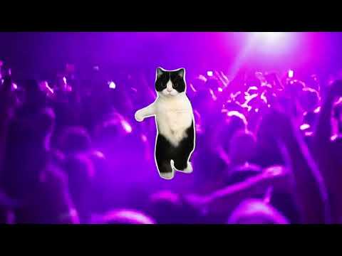 Putar IZ DA LUV (SUNSHINE) (Bf-131131525 remix) - XANDEGA