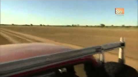 Mutant Planet Kangaroo Survival