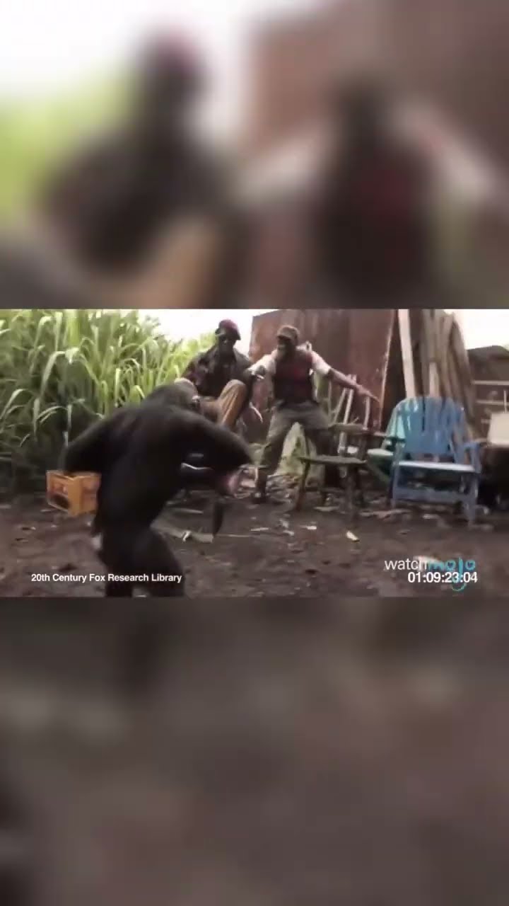 вирусное облако