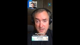 Datos Unlocking the Power of Genetic Repair for Vision Restoration Guía