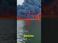 5 Wild Nature Moments You Won’t Believe Are Real 😲