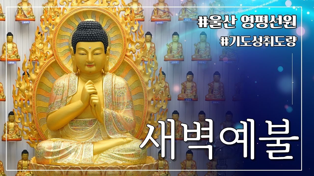 고요한 새벽, 마음이 깨어나는 시간... 영평선원 새벽기도 2026.01.16.