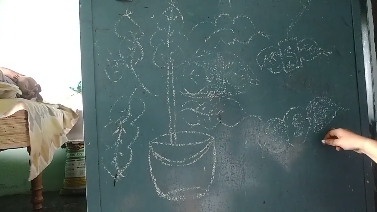 How sunlight is necessary to form starch in green plants