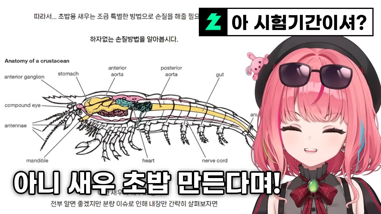 시험기간이 다가온 대학생이 무서운 이유 (새우초밥가이드임)