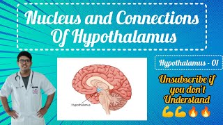 Nucleus And Connections of Hypothalamus ??|| CNS Physiology || With Handwritten Notes