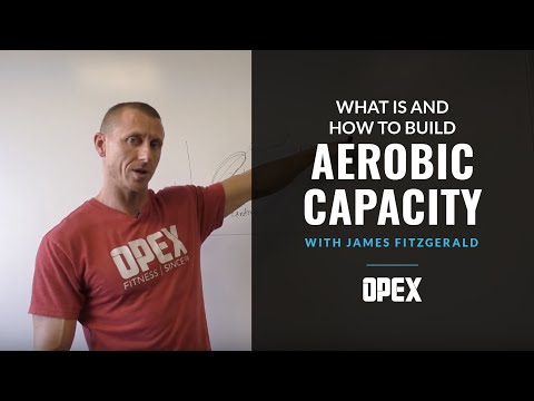 What Is and How To Build Aerobic Capacity?