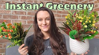 36 Piece Outdoor Artificial Plants | UV Resistant Faux Greenery for Porch & Planters