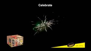 Celebrate Single Ignition Firework by Standard Fireworks