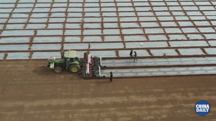 Technology helps cotton farmers in Xinjiang