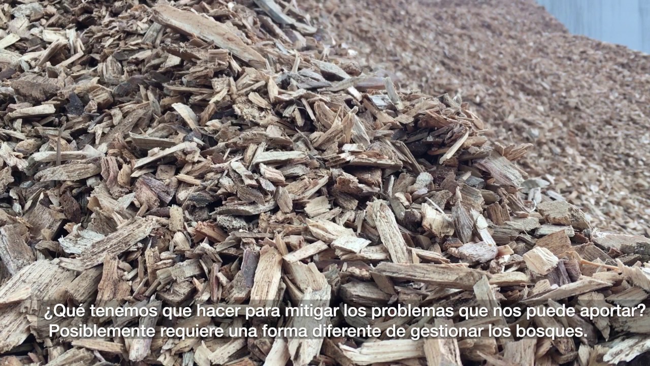 La Reserva de la Biosfera de 