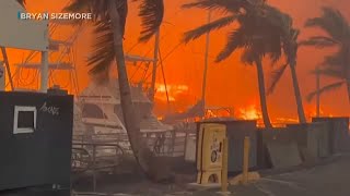 Hawaii fires: Maui death toll rises to 53 from wildfires; Lahaina decimated