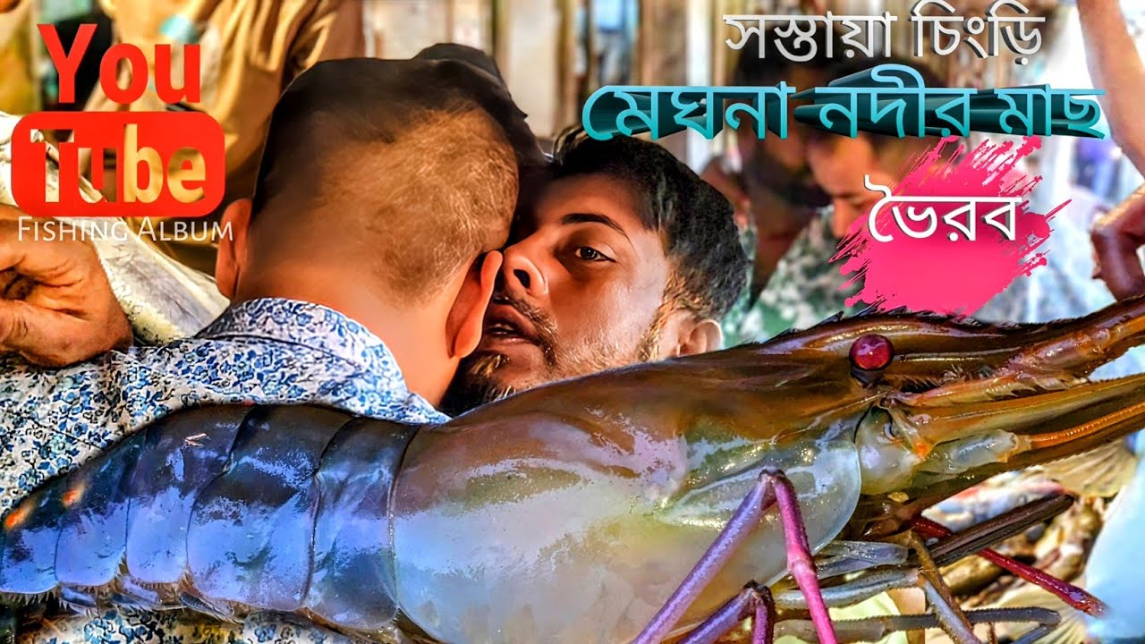 মেঘনা নদীর ঐতিহ্যবাহী ভৈরব মাছের আড়ৎ🦐 সস্তায় বিক্রি হচ্ছে কেজি দরে মাছFish Market Tour in Bhoirob