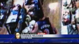 More Documents Released In Anthony Case Wealth