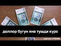 ДАХШАТ! НЕГА КУРС ДОЛЛАР ТУШИБ КЕТЯБДИ? DAXSHAT! NEGA KURS DOLLOR TUSHIB KETYABDI?