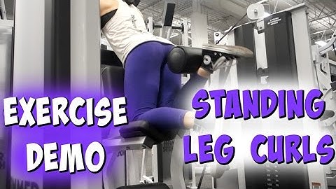 Demo | Standing Leg Curl Machine