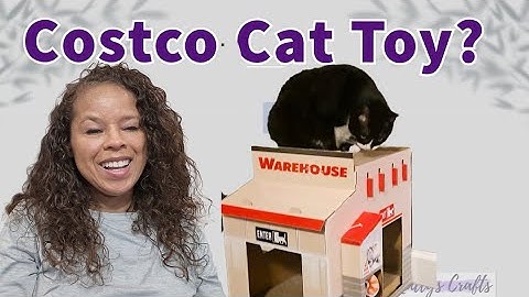 Costco Cat Warehouse? What in the world