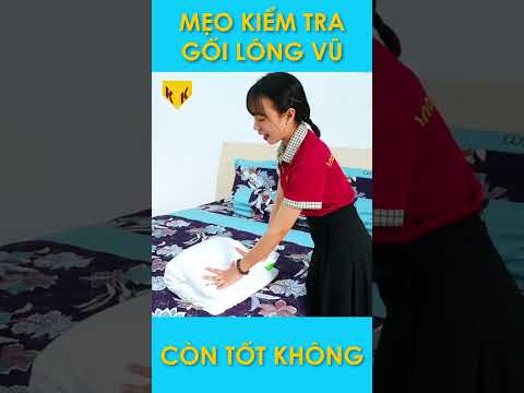 Video: Làm thế nào để giặt màn cửa lưới (có hình ảnh)