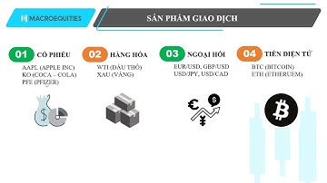 [Học trực tuyến] 08/12 : Thời điểm đầu tư cổ phiếu an toàn hiệu quả cuối năm 2022 | Macro Equities