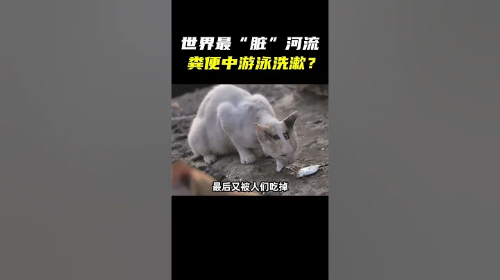 世界污染最嚴重國家，每年傾倒50萬噸塑料，垃圾泛濫成災 - 天天要聞