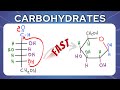Carbohydrate Structures and Conversions Quiz